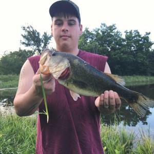 Meet your Posher, Dylan